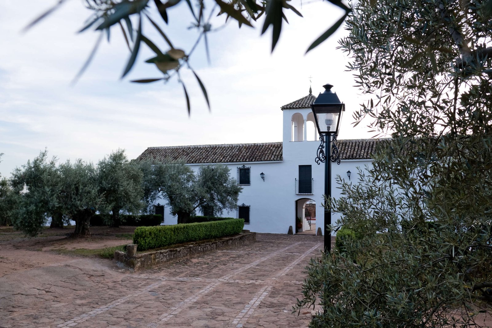 navidad en una finca rural